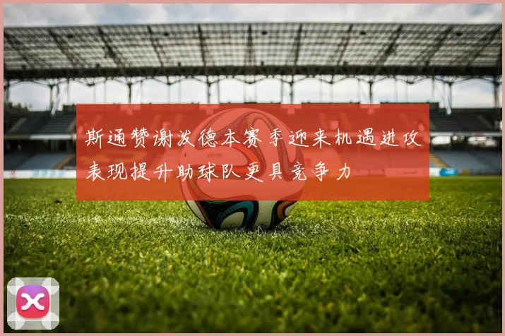 斯通赞谢泼德本赛季迎来机遇进攻表现提升助球队更具竞争力