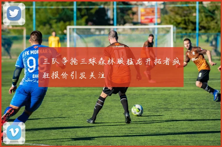 三队争抢三球森林狼猛龙开拓者疯狂报价引发关注