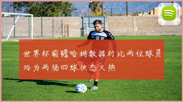 世界杯前瞻哈姆数据对比两位球员均为两场四球状态火热